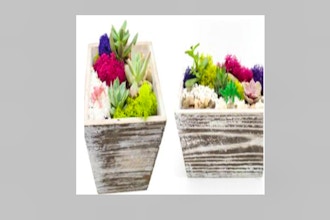 Plant Nite: You Pick Wooden Box or Rectangle